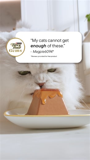See how cat owners are making mealtime extraordinary with Fancy Feast Gems – a mousse paté with a halo of savory gravy. | Purina Fancy Feast