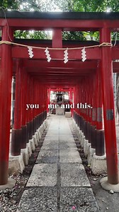 Japan effortlessly turns simple moments into lasting memories. 🇯🇵 Sail through up to nine iconic cities in one unforgettable journey. https://spr.ly/6184CFZQj | Princess Cruises