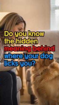 Do you know the hidden meaning behind where your dog licks you?