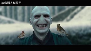 Beauty and Lord Voldemort