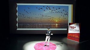 Project Management: how to plan & adapt with agility