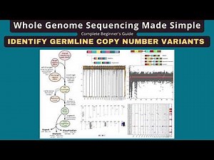 Germline Copy number variants (CNVs) Identification Using CNVkit — WGS Beginners Guide