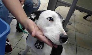 14K views · 1K reactions | Update 11/12 - We are truly happy that...