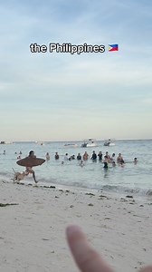 Surfing Dog in the Philippines 🇵🇭 #Philippines #usa #filipino #dog | Travel Escapes