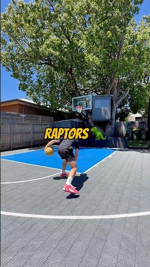 THE EVOLUTION OF THE TORONTO RAPTORS LOGO 🦖