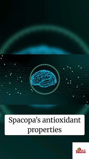 Researchers, Bacopa & Reverse Brain Inflammation#BrainHealth #Nootropics #longevity