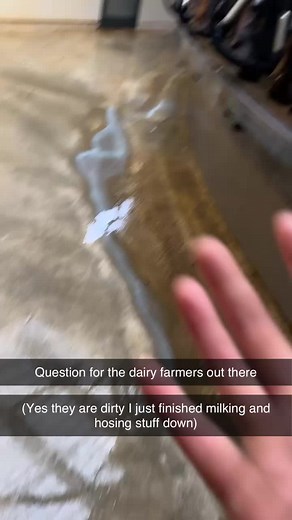 Meg101 (@m3g101)’s videos with original sound - Meg101