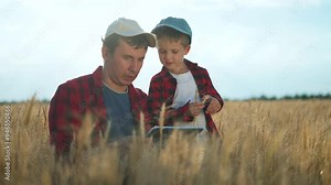 Father and son inspect wheat field. Family checking wheat harvest control. Farmer son analyzing crops. Agriculture concept in rural field. Family bonding over wheat harvest control. Farming lifestyle.