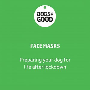 1K views · 81 reactions | Wearing a face mask is becoming normal for many of us as we come out of lockdown. Here’s some advice from our expert dog trainers on how to get your dog used to seeing people wearing them: https://bit.ly/2UGnZHG | Dogs for Good - UK | Facebook