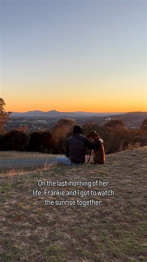 Penny | Dog Health & Training Tips on Instagram: "Frankie was diagnosed with canine hemangiosarcoma in July last year. Two months later, she died. Losing a soul dog is devastating. While nothing makes that loss easier, we were grateful to know what was coming and to make the most of the time we had left together. She only had a week or two remaining, and the cancer would have ended her life in a traumatic and painful way. We chose to let her go a little early, sparing her unnecessary suffering a