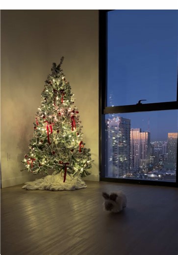 Wait bc how are we in the 2nd week of December | december outfits