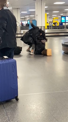 136K views · 700 reactions | 'Probably fighting over the window seat'  | Daily Mail Video | Facebook