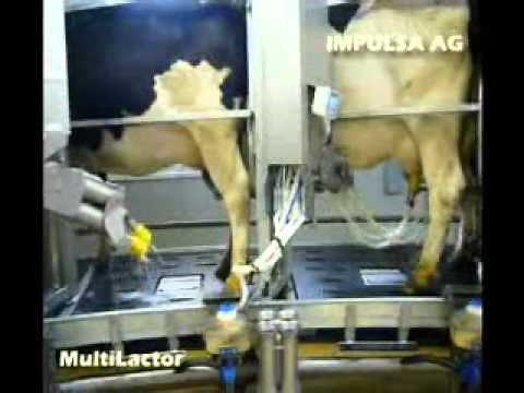 impulsa MultiLactor