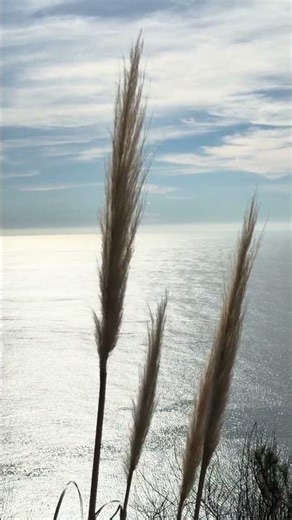 A peaceful Evening in the Big Sur CA :) #bigsur #california #peacefulmusic