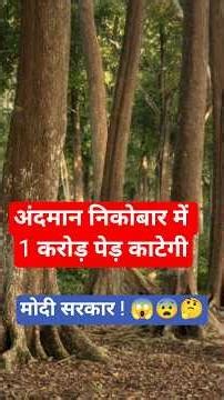 अंदमान निकोबार में 1 करोड़ पेड़ काटेगी मोदी सरकार ! 😱😨 सच क्या है पूरी रिपोर्ट #greatnicobar #forest