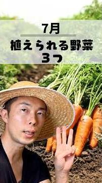 【7月がラストチャンス】秋の収穫が激変する野菜3選 #家庭菜園