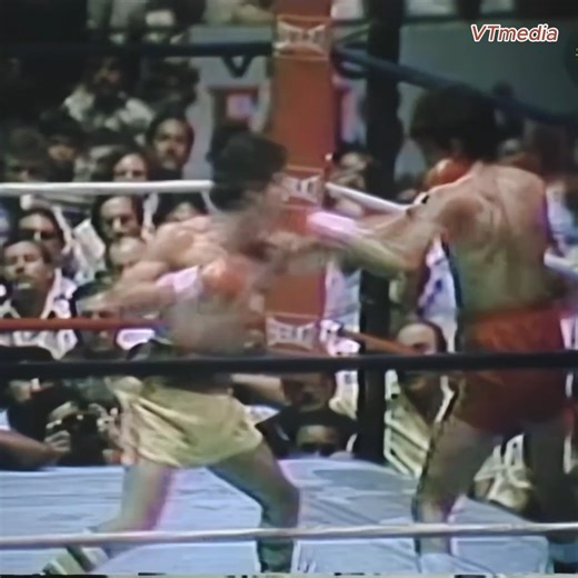 70K views · 1.5K reactions | The Man With A Knockout Record That Will NEVER Be Broken! | SFB | Facebook