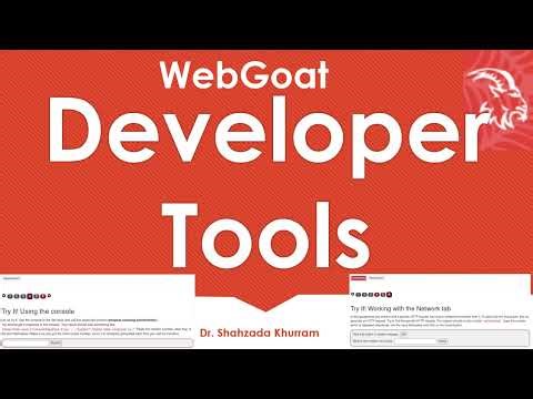 Developer Tools | WebGoat Lab