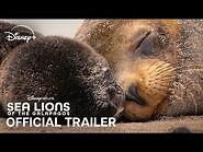Disneynature’s Sea Lions of the Galápagos - Official Trailer