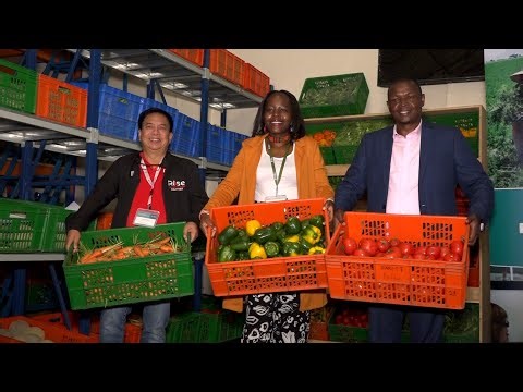 THE EFFORTS PUT IN PLACE TO END HUNGER IN KENYA