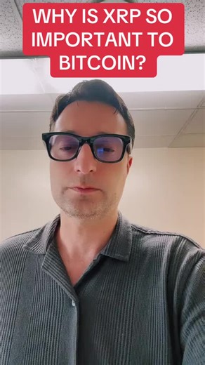 3 cryptos that will follow Bitcoin higher and higher XRP bigpicturecoin cardano bitcoin cryptok creatorsearchinsights BigPictureCoin Big Picture Coin XRP News Today DanaWhite