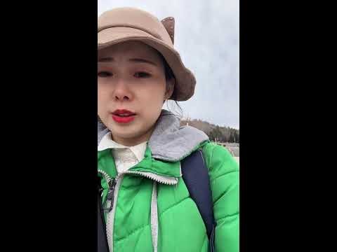 Spring Forest Live｜Feeding Wild Squirrels with Live Narration 🐿️🌲