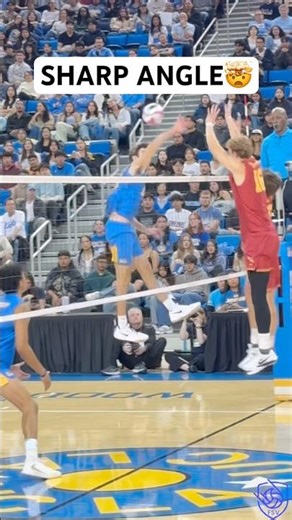 Sharp Angle that could not be dug🙅‍♂️ #volleyball #volleyballworld