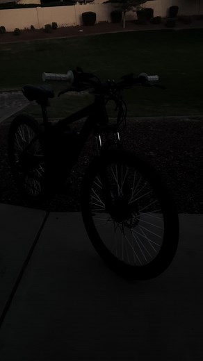 Exploring the Qlife Racer Experience