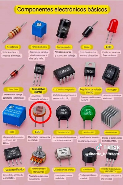Conozcamos estos veinte componentes
