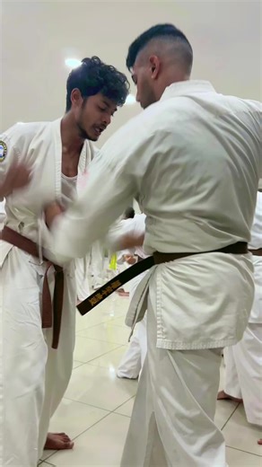 Kyokushin Masterclass with Shihan Eddy Gabathuler
