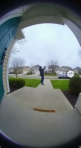 Hope this thief is a fan of the Blues #caughtoncamara #funny #porchpirate #doorbellcamera #security