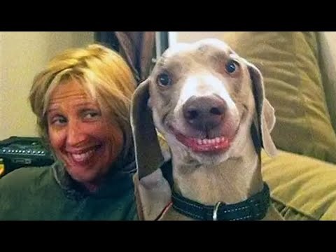 Animals Doing Silly Things and Imitating Humans 😂 Funny Animal Videos 2025