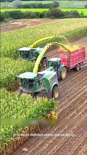 Why Millions of Tons of Corn in America Aren't for People 🌽 #facts