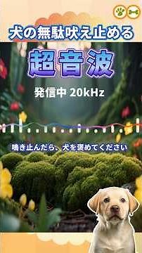 犬の無駄吠え止める音【超音波 20kHz】| 吠え癖を止める 静かにリラックス