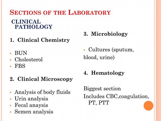 Sections of the Laboratory - SlideServe