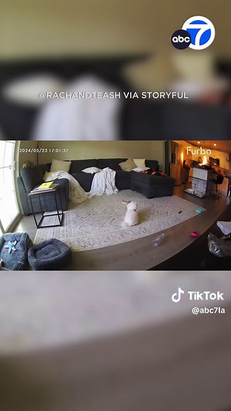 A #Connecticut woman hopes that others will learn from her mistake after a video showing her chaotic reaction to a #kitchen fire went viral.