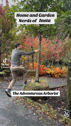 The garden center isn’t just plants… it’s personalities 😂 which one are you? #plantpeople #gardenlife #gardenhumor #merrifieldgardencenter #gardening #plantlove #garden #plantslover #plantsplantsplants | Merrifield Garden Center