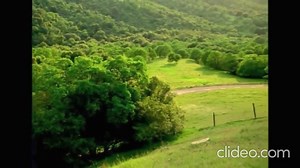 k-fee car commercial music reversed