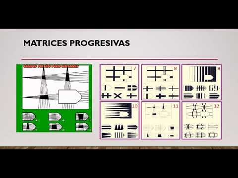 Test de Matrices Progresivas de Raven