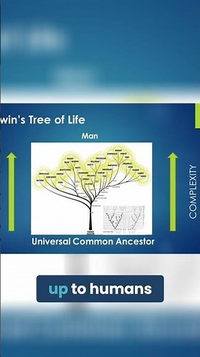Plant Evolution: Adaptation & Darwin's Finches Explained!