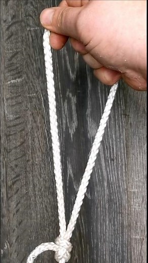 This will save every dog owner! 🐕 DIY temporary dog collar in 10 seconds.