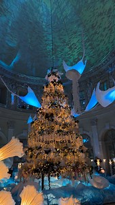The enchanting aquatic Christmas tree of @vaux.le.vicomte 🎄✨ The Grand Salon and other rooms of the Château transform during the Christmas season, to discover until January 4th (Invitation) | Raphael Metivet Photography
