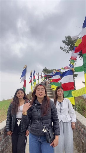 Expectation vs Reality: A Funny Take