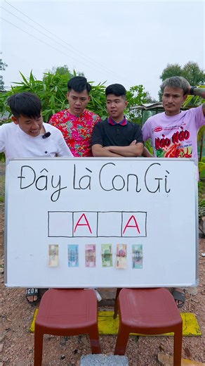 Đây Là Con Gì#hungvlog