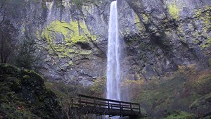 Easy and beautiful hike leads to 289-foot Elowah Falls