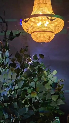 Manchester is a place like no other 🫶🏼 and your favourite venue has just got even better! 🌟 £50million redevelopment, an exclusive members only Bar and Restaurant featuring a menu curated by 3-Michelin Star Chefs Simon Rogan and Tom Barnes, increased capacity and a re-imagined fan experience. Here’s to all the memorable nights and the moments that continue to shape our city, here’s to many more! ✨ | AO Arena