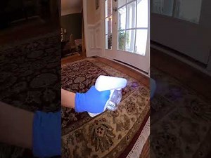 HOW TO SPRAY INSIDE and OUTSIDE YOUR HOME | BUGSPRAY.COM https://bugspray.com/best-home-bugspray