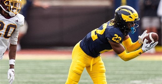 Michigan cornerback Elijah Dotson enters NCAA Transfer Portal after impressive freshman season
