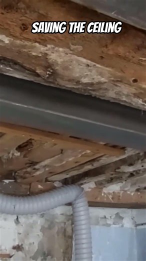 Securing the Ancient Beams in the Ceiling