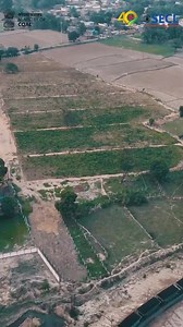 7.8K views · 180 reactions | Greening the Coalfields! South Eastern...